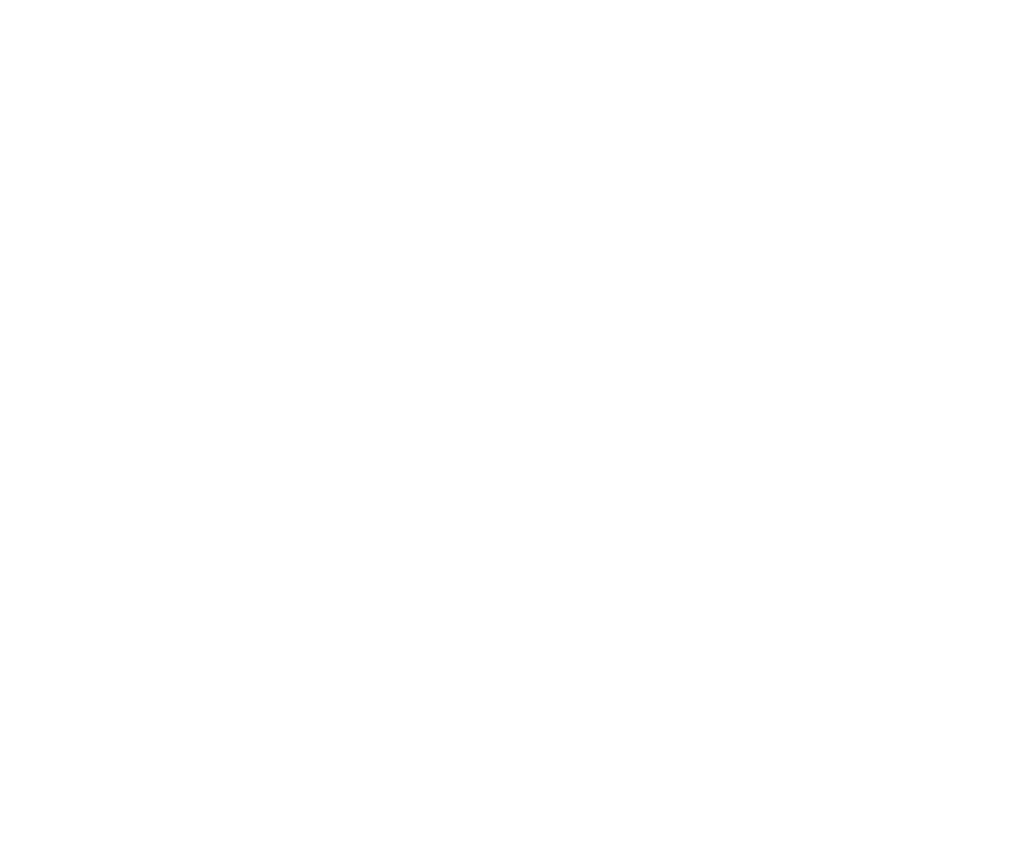 2015 - Création de la structure franchiseur & Création d'outils liés