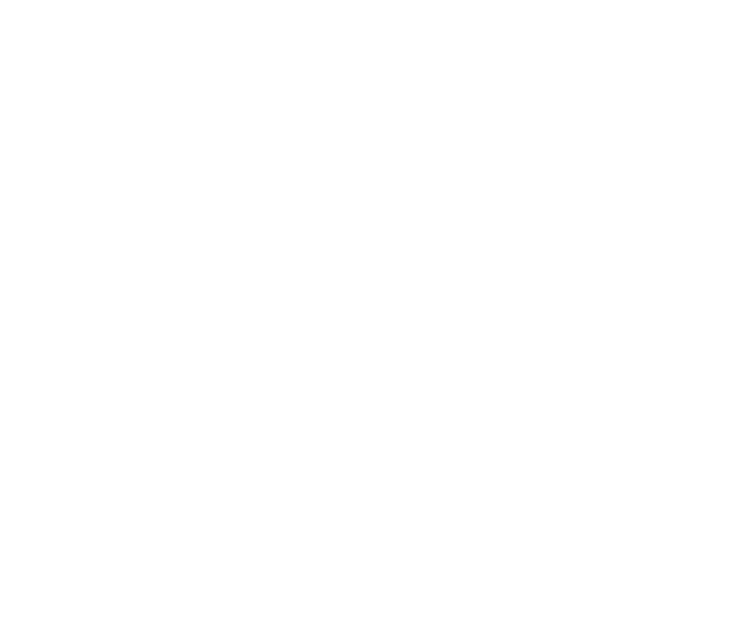 2019 - Création de la structure franchiseur & Création d'outils liés