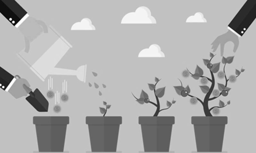 Développer votre franchise