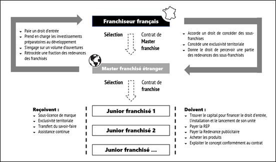 Infographie Master Franchise
