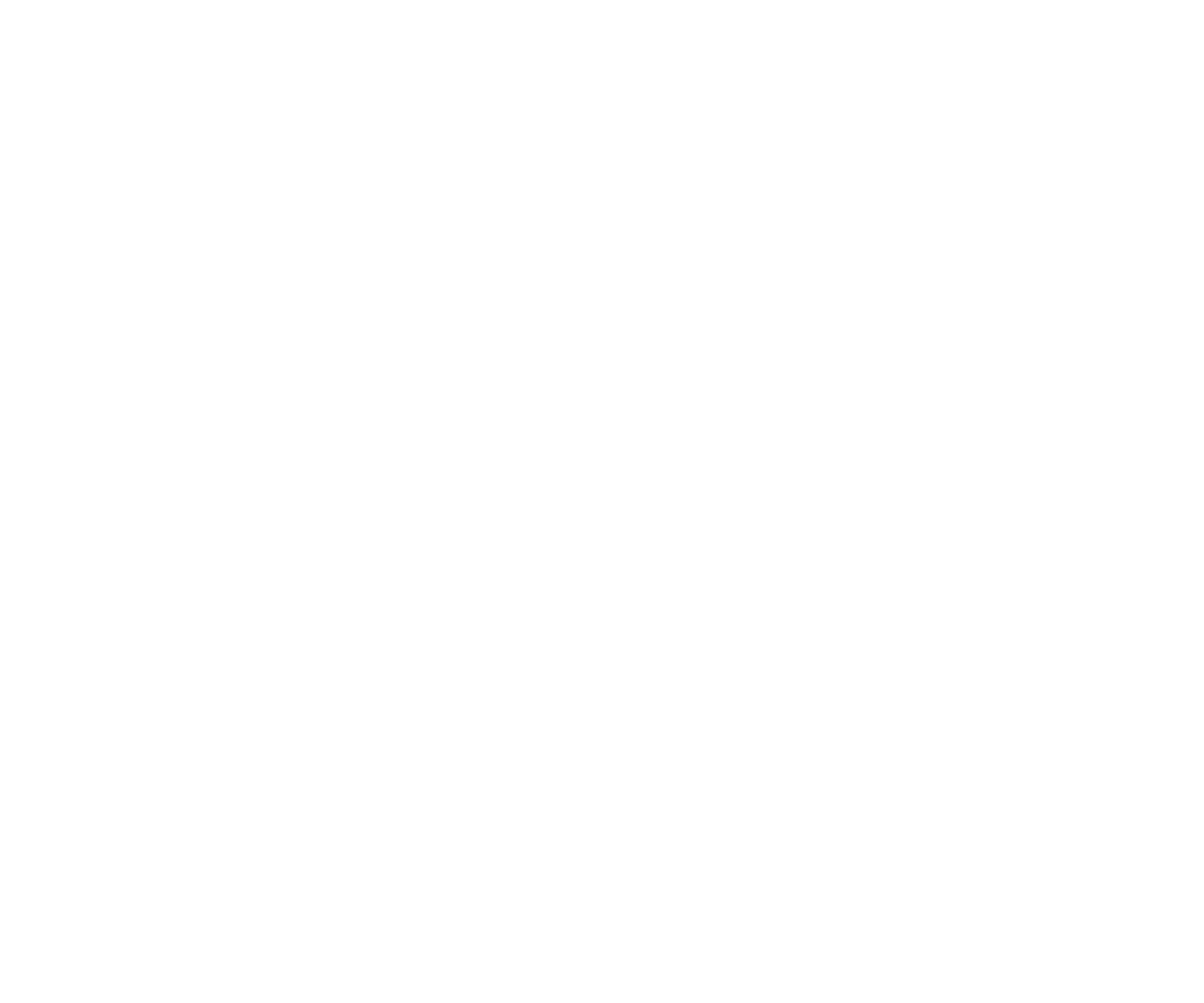 2020 - Création de la structure franchiseur & Création d'outils liés