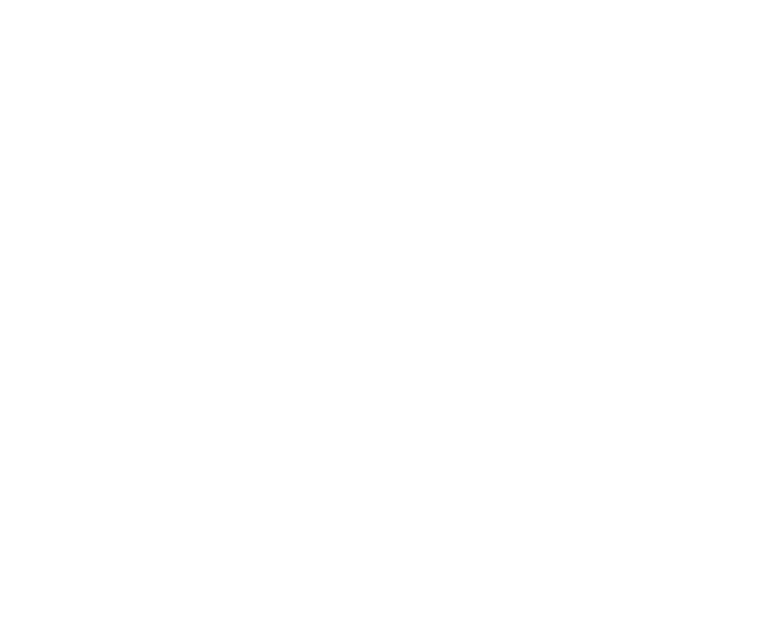 2019 - Diagnostic de franchisabilité & Rédaction de manuel opératoire