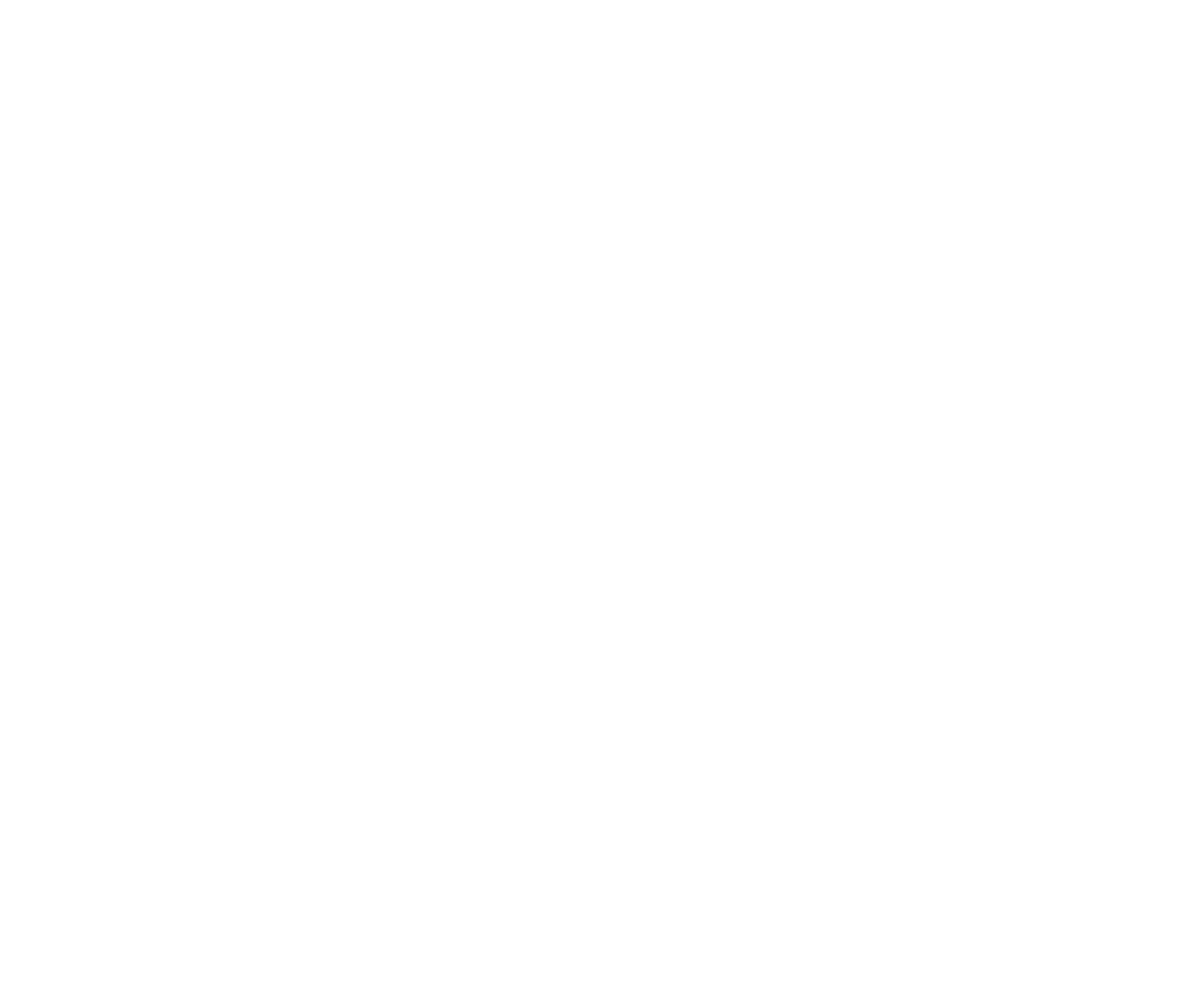 2019 - Diagnostic de performance & Création d'outils du développement