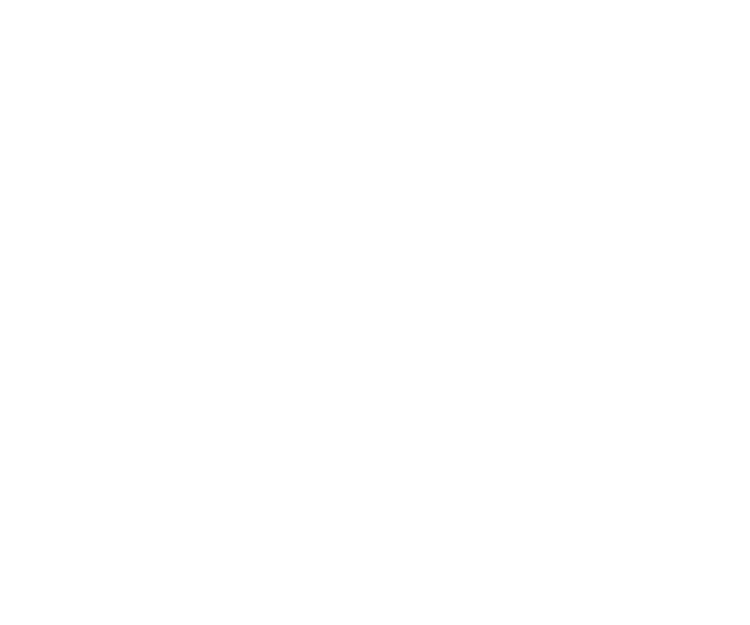 2020 - Diagnostic de franchisabilité & Rédaction de manuel opératoire