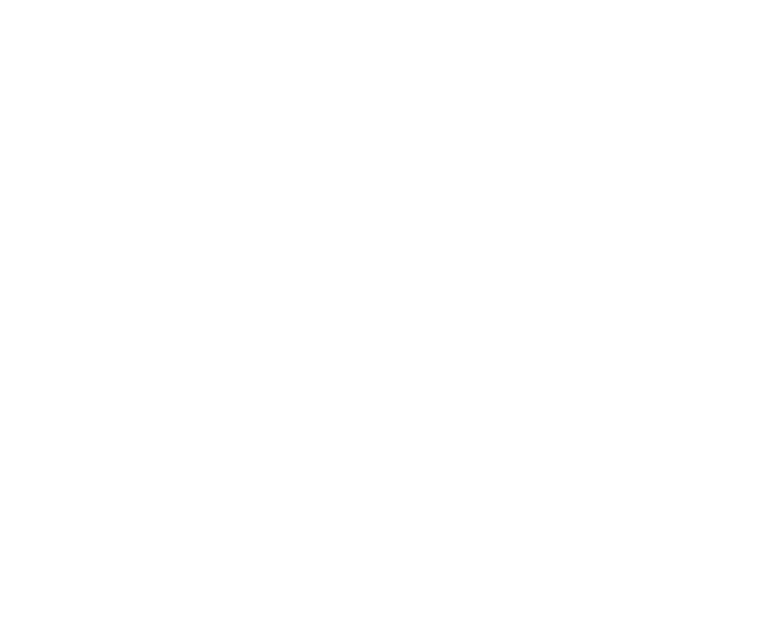 2021 - Création de la structure franchiseur & Création d'outils liés