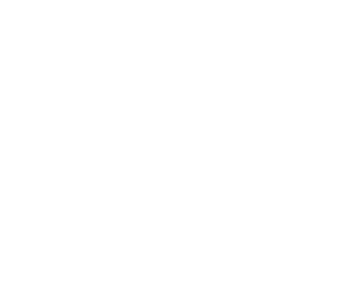 2021 - Création de la structure franchiseur & Création d'outils liés