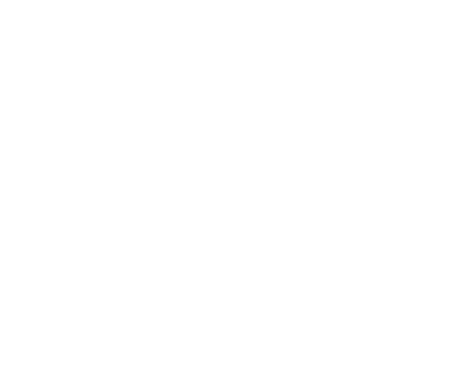 2019 - Diagnostic de performance du service Développement