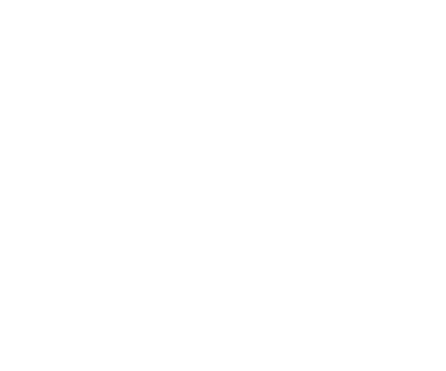 2022 - Création de la struture franchiseur (organisation, process, outils)