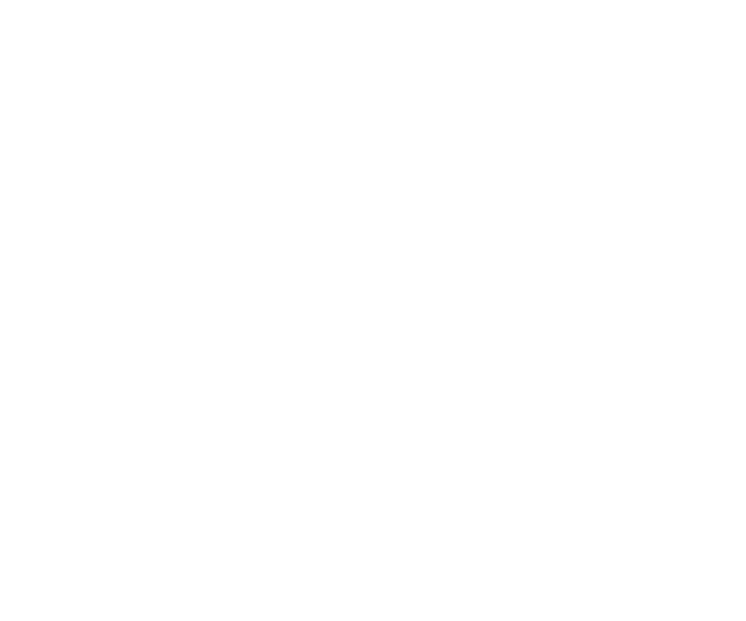 2017 - Création de la structure franchiseur & Création d'outils liés