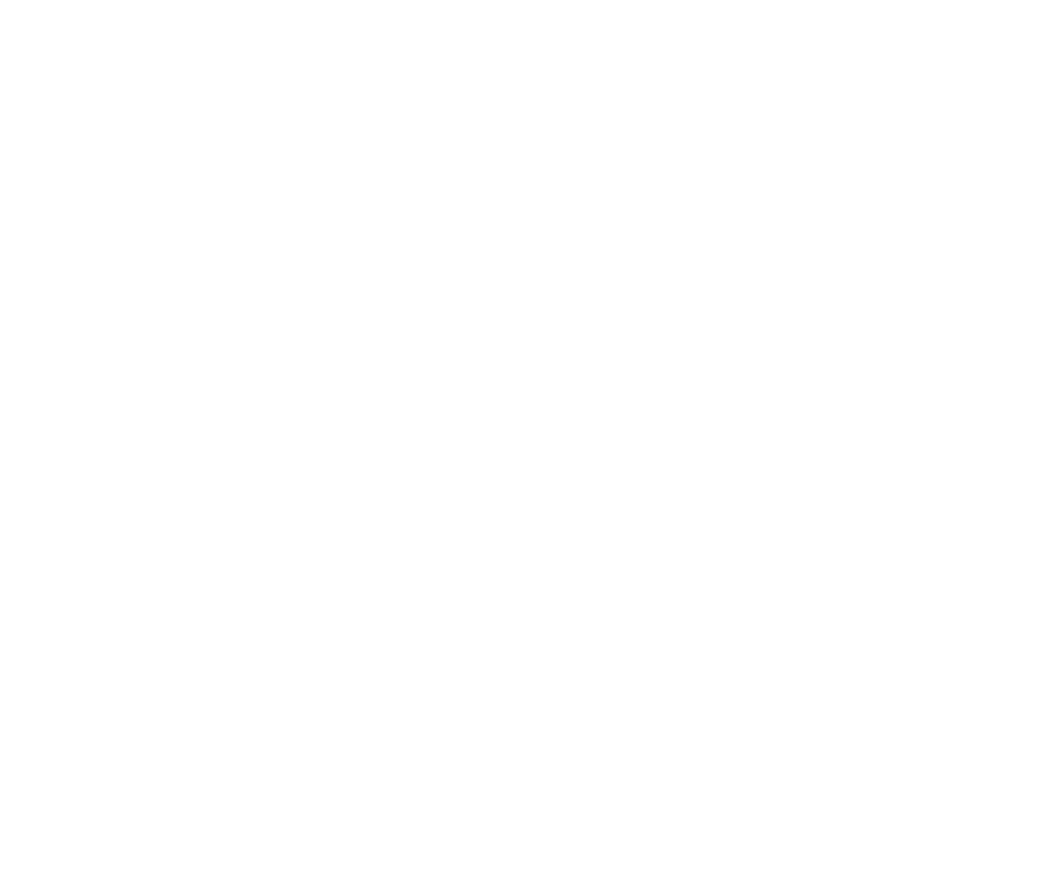 2018 - Diagnostic de franchisabilité & Rédaction de manuel opératoire