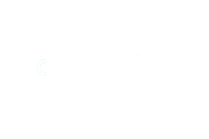 logo-axe-reseaux-elephant-blanc